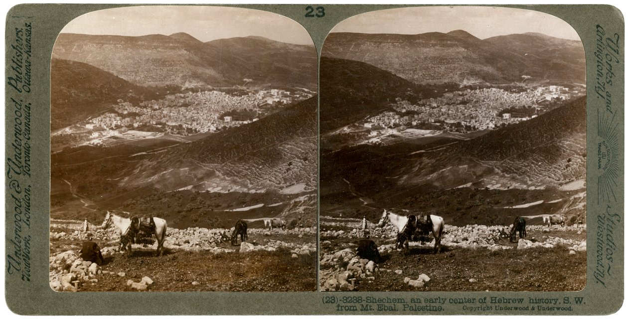 शकेम, 1900 के दशक में माउंट एबाल, फिलिस्तीन से दक्षिण-पश्चिम। द्वारा अंडरवुड और अंडरवुड