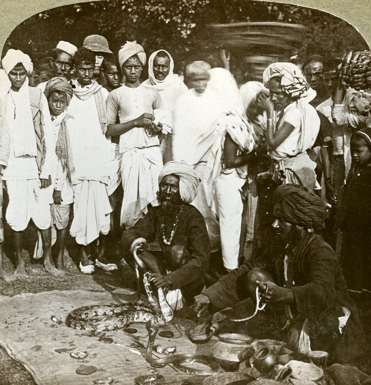 सांप छछूंदर, कलकत्ता, भारत, c1900s। द्वारा अंडरवुड और अंडरवुड
