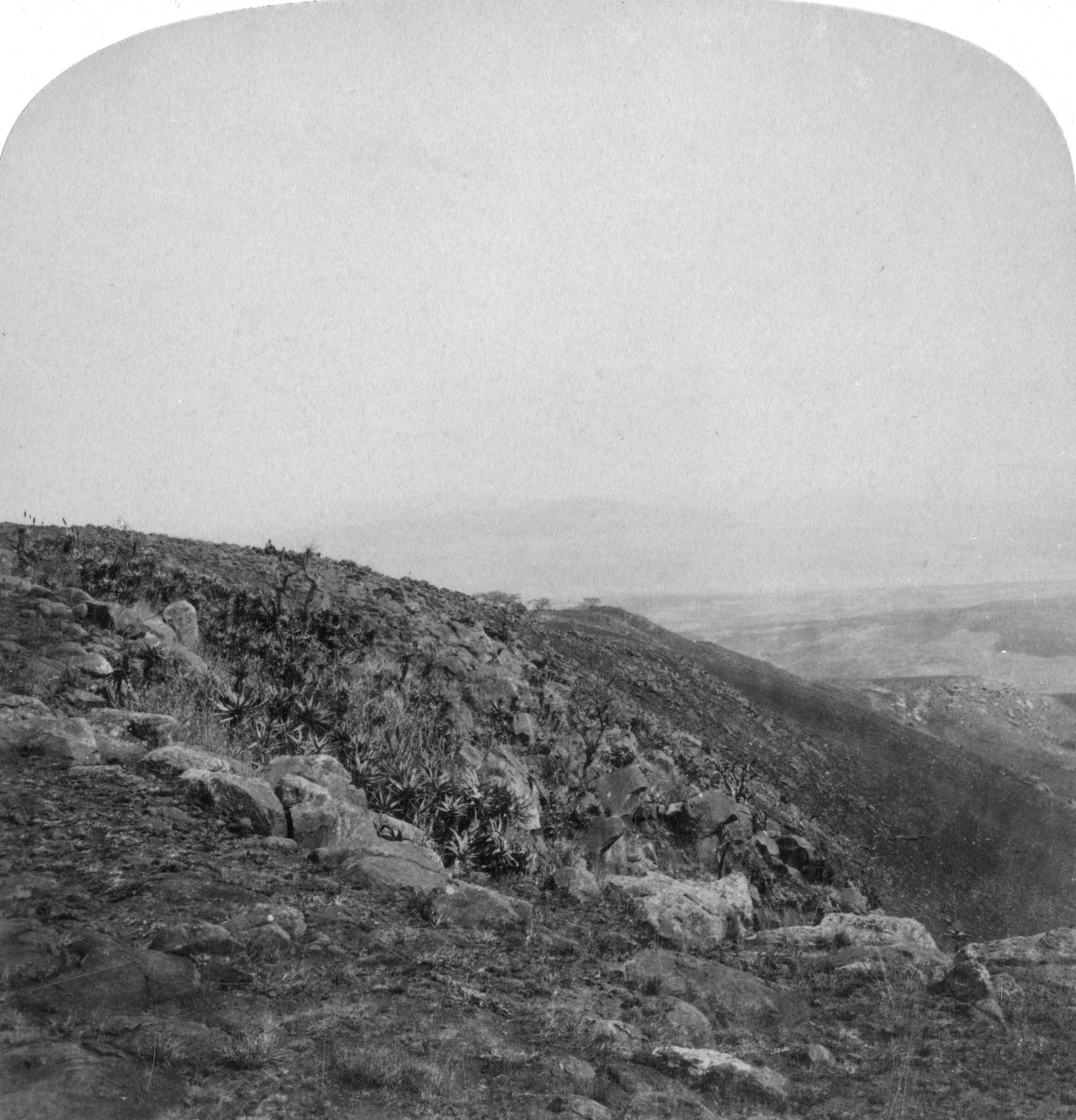 स्पायन कोप के दक्षिण ढलान, दक्षिण अफ्रीका, बोअर युद्ध, 1901। द्वारा अंडरवुड और अंडरवुड