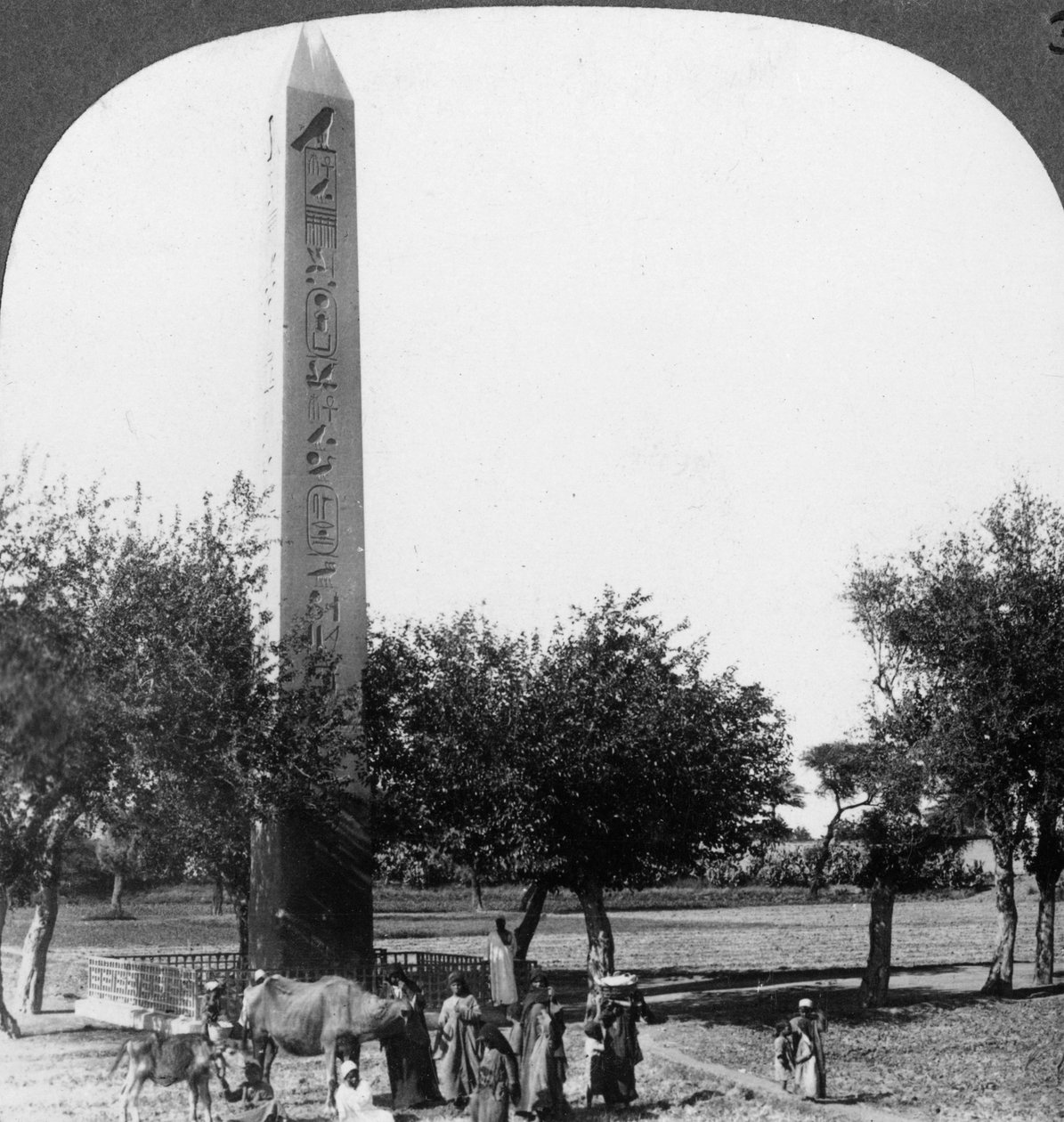 हेलियोपोलिस, मिस्र का 1905 का ओबिलिस्क। द्वारा अंडरवुड और अंडरवुड