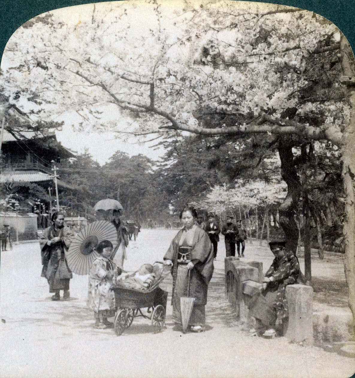 चेरी ब्लॉसम के तहत, शीबा पार्क, टोक्यो, जापान, 1904 के मुख्य राजस्व के साथ उत्तर-पूर्व की ओर देखना द्वारा अंडरवुड और अंडरवुड