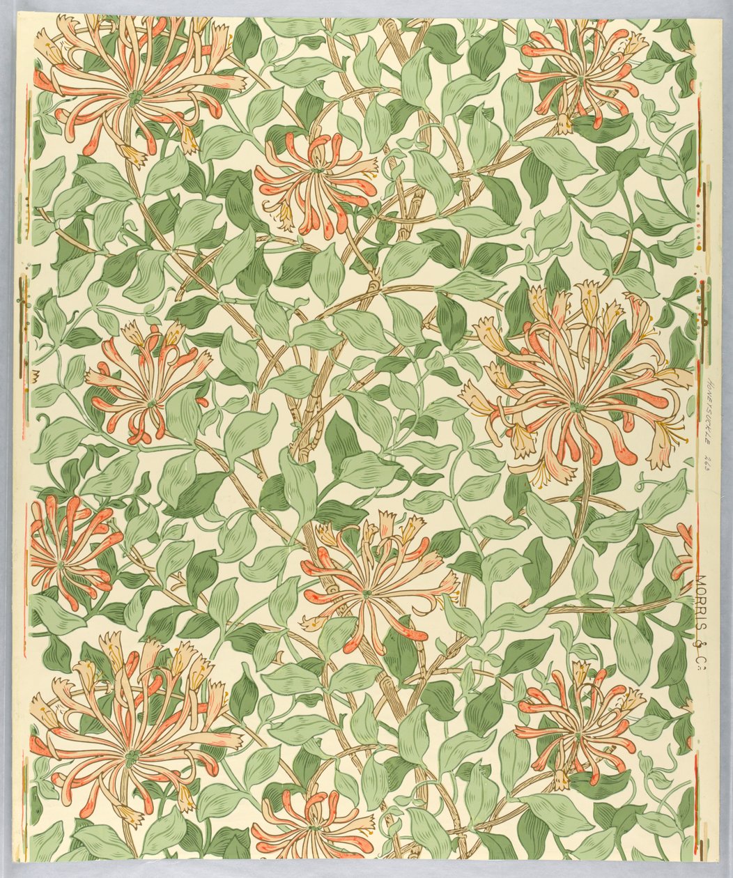 साइडवेल, हनीसकल, 1883 द्वारा अज्ञात