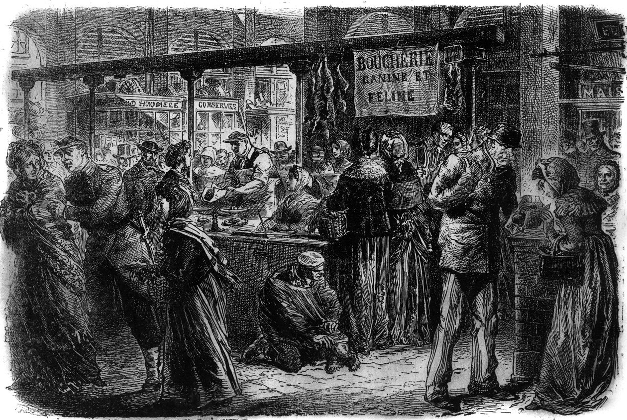 1870 में पेरिस में कसाई कुत्ते और बिल्ली के समान द्वारा अज्ञात कलाकार