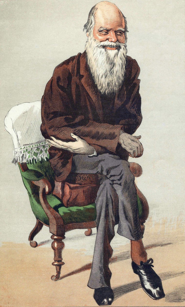 चार्ल्स डार्विन (1809 - 1882), 30 सितंबर के "वैनिटी फेयर" में चित्रण द्वारा अज्ञात कलाकार