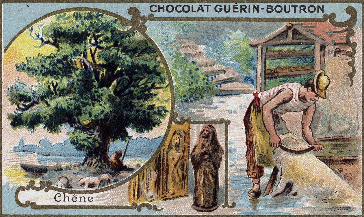 चॉकलेट Guérin Boutron.19th सदी की क्रोमोलिथोग्राफी पैकेजिंग। द्वारा अज्ञात कलाकार