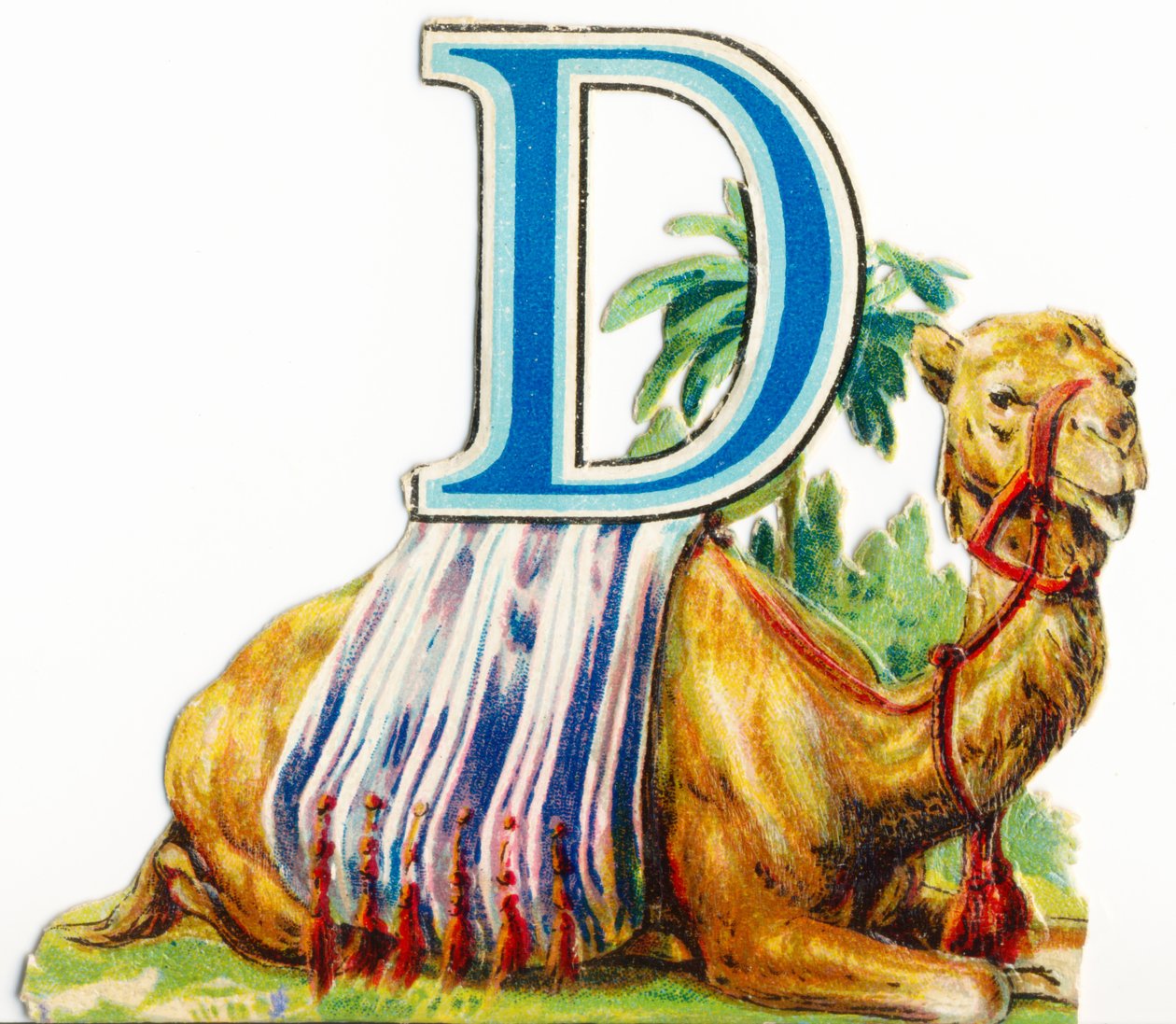 D: Dromedary द्वारा अज्ञात कलाकार