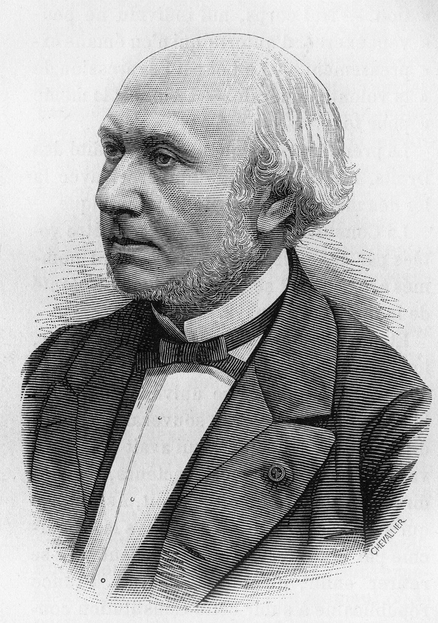 हेनरी वॉलन (1812-1904), फ्रांसीसी इतिहासकार और राजनीतिज्ञ। द्वारा अज्ञात कलाकार