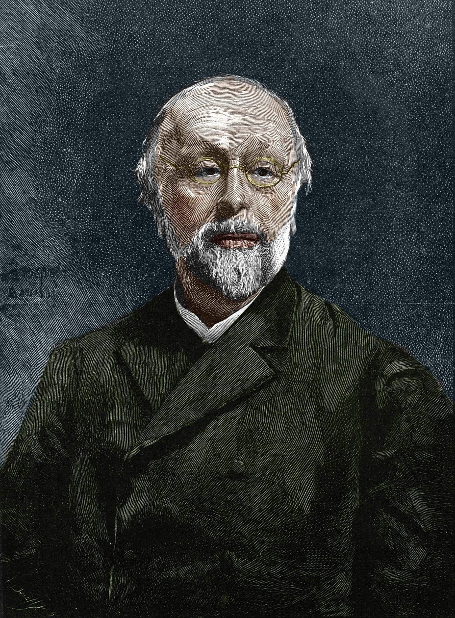 हिप्पोलीटे ताइन (1828-1893), फ्रांसीसी दार्शनिक और इतिहासकार। द्वारा अज्ञात कलाकार