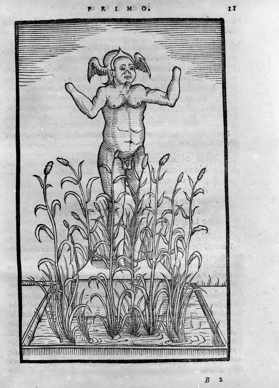 Homme sans bras - "" De Transmutatione Metallica Sogni Tre "" में, Giovanni Battista Nazari द्वारा, 1599 में ब्रेशिया में संपादित किया गया द्वारा अज्ञात कलाकार