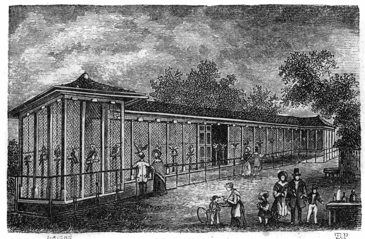 1861 में पेरिस में जार्डिन डेस प्लांट्स: बाज़। द्वारा अज्ञात कलाकार