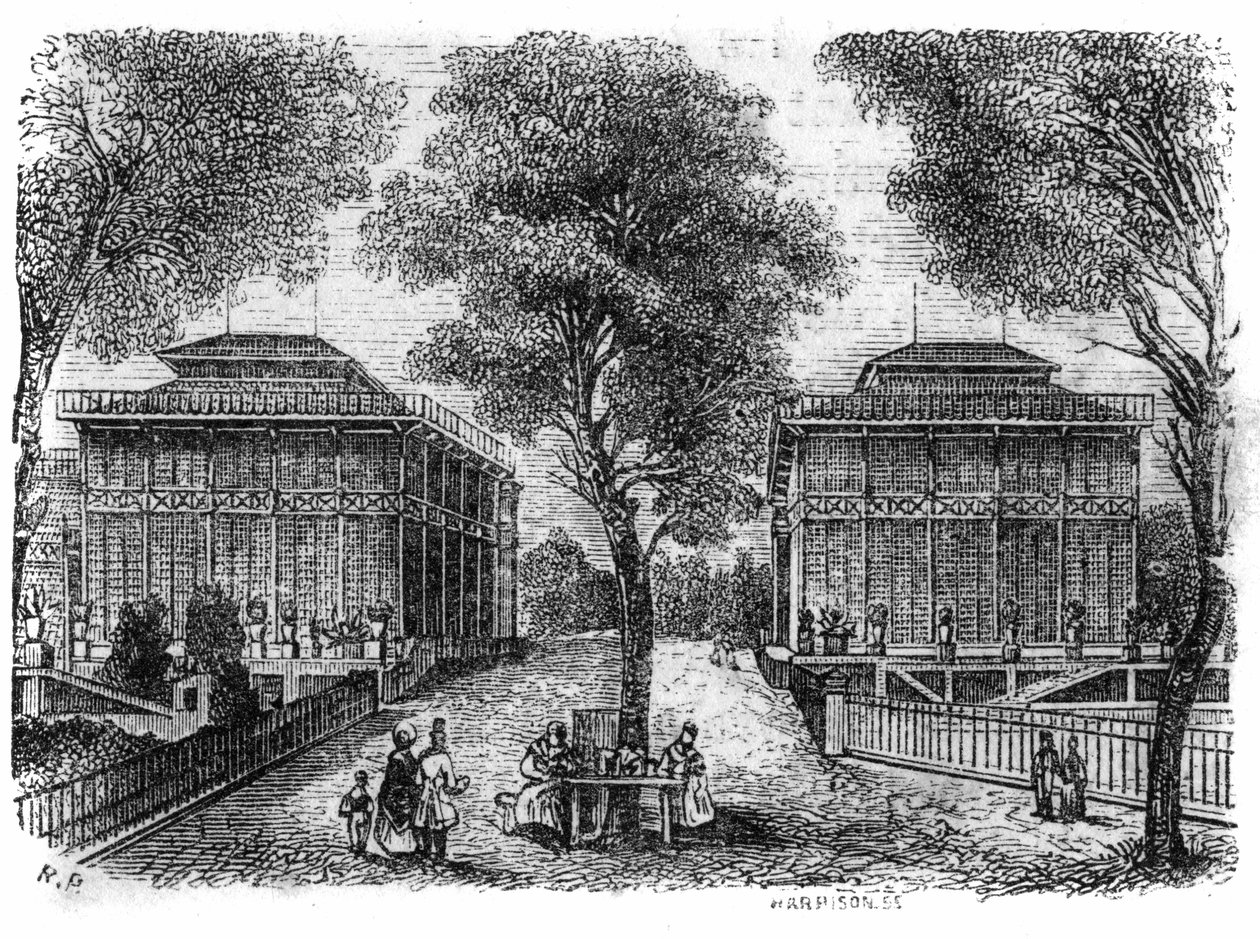 1861 में पेरिस में जार्डिन डेस प्लांट्स: लोहे के मंडप। द्वारा अज्ञात कलाकार
