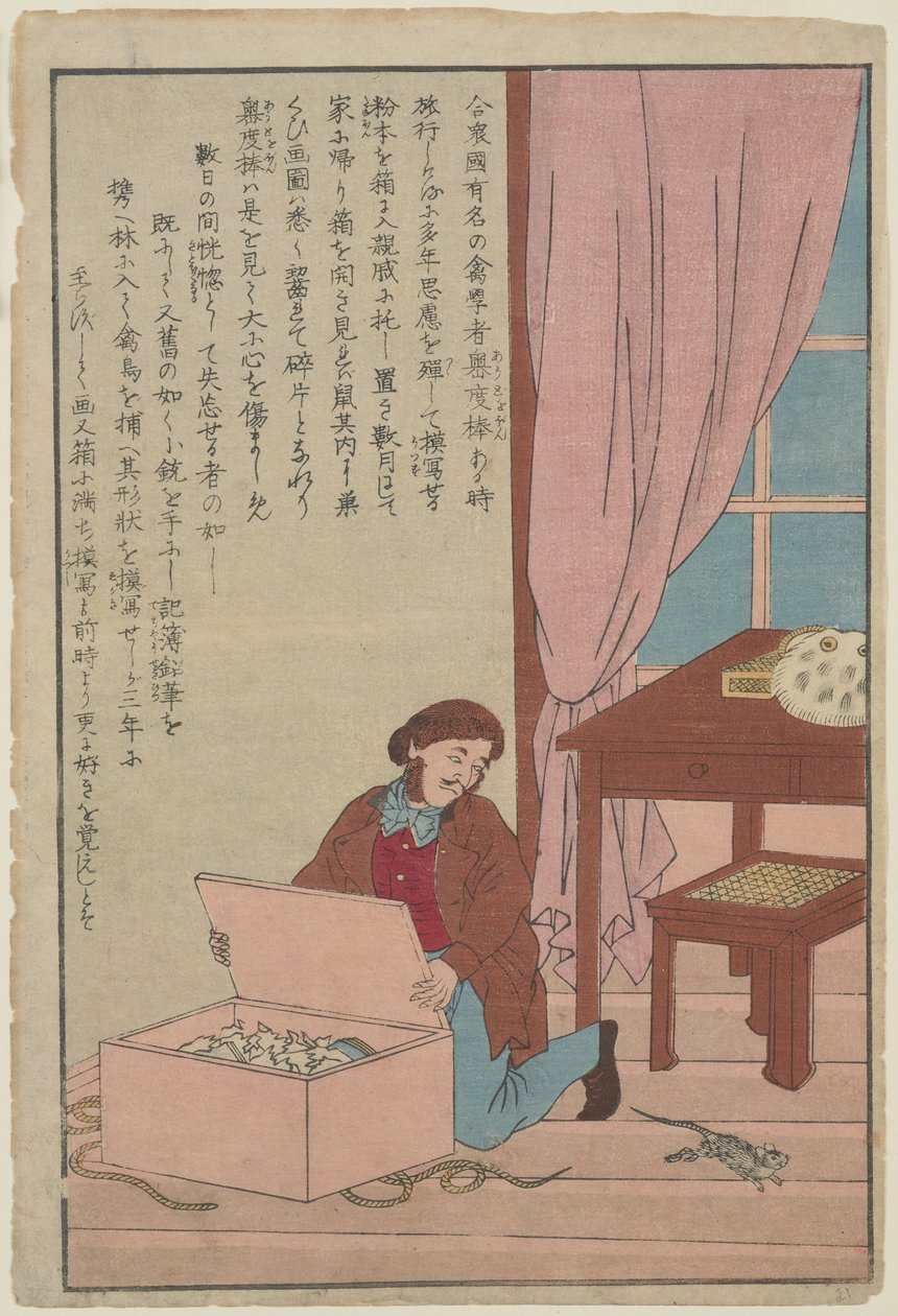 जॉन जेम्स ऑडबोन, c.1890 (वुडब्लॉक प्रिंट) द्वारा अज्ञात