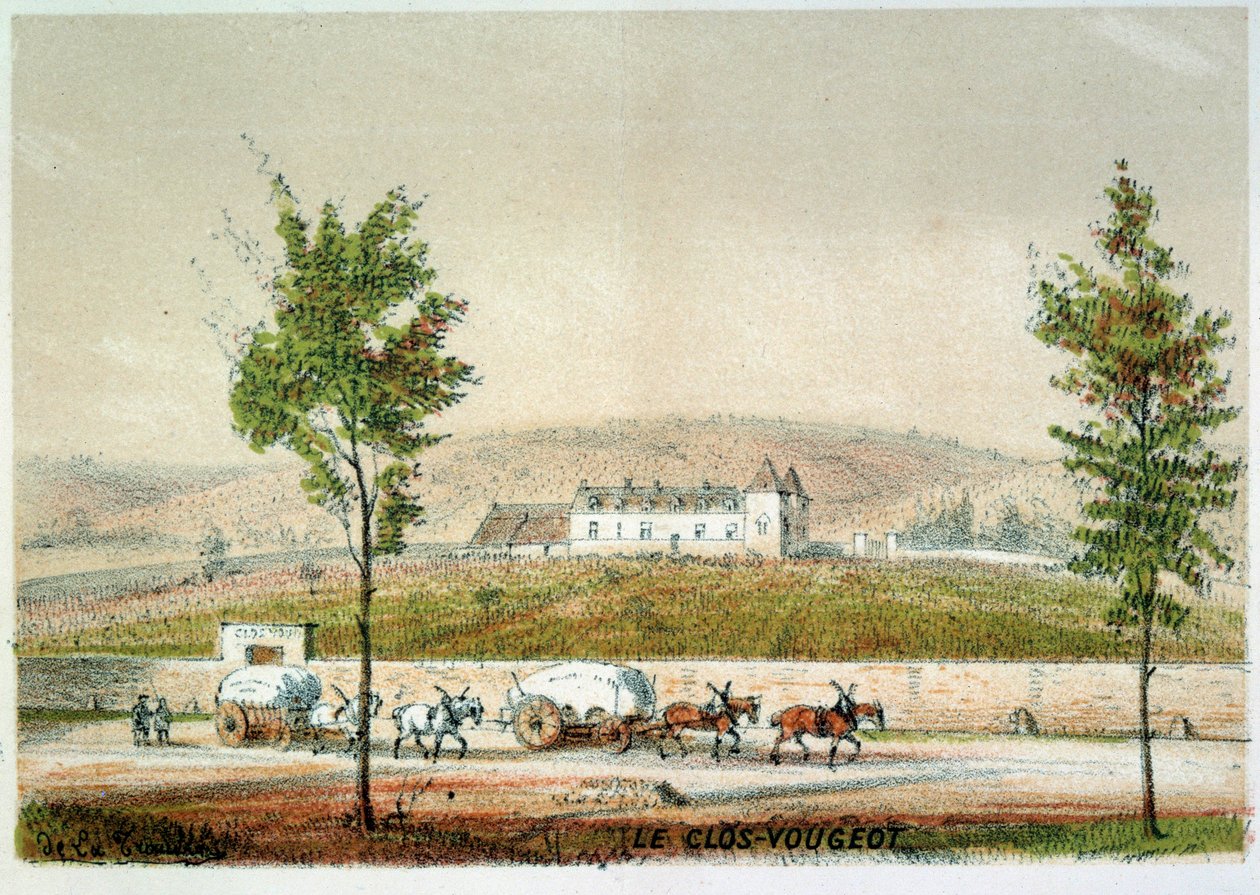 Le clos Vougeot, Cote d'Or (बरगंडी वाइन) का दाख की बारी। 19वीं सदी की नक्काशी। पेरिस। बी एन द्वारा अज्ञात कलाकार