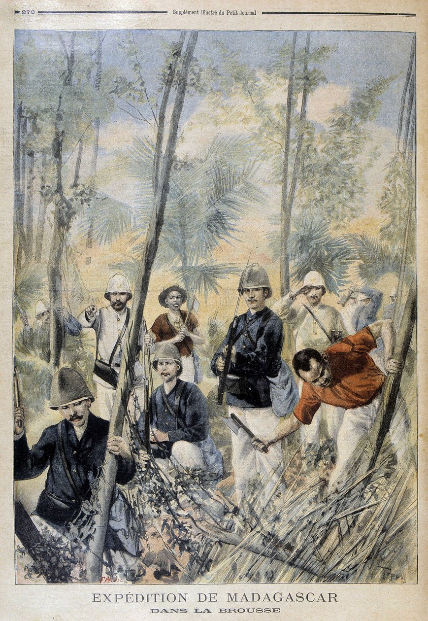 मेडागास्कर अभियान: झाड़ी में - "" ले पेटिटी जर्नल "में, अगस्त 1895 द्वारा अज्ञात कलाकार