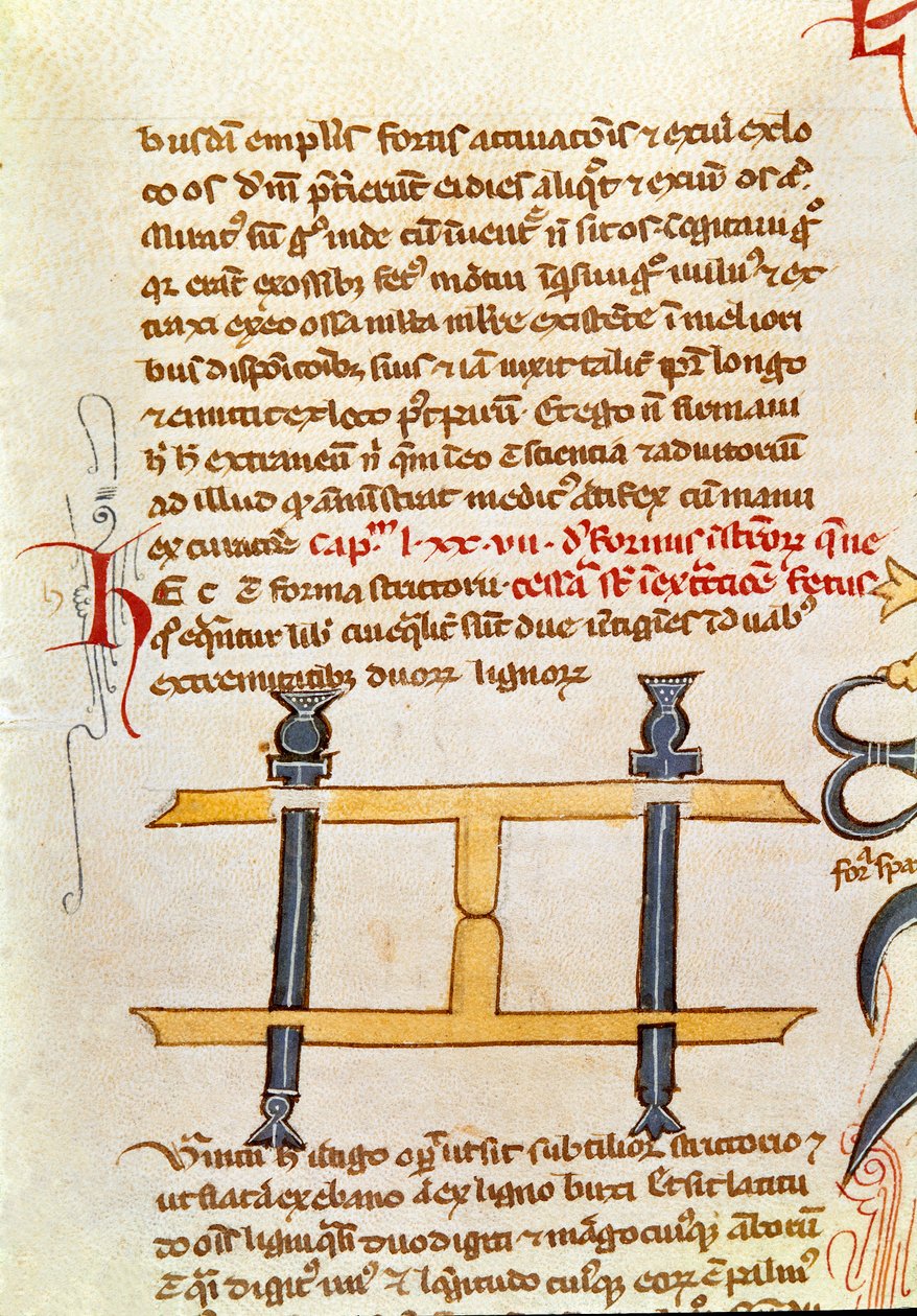 पांडुलिपि पृष्ठ "" सर्जरी "" (MS. LAT.VII 32-3023) Guillaume de Salicet (Guglielmo da Saliceto) (1207-1270) भिक्षु और चिकित्सक द्वारा। 14वीं सदी का वेनिस बिब्लियोटेका मार्सियाना द्वारा अज्ञात कलाकार