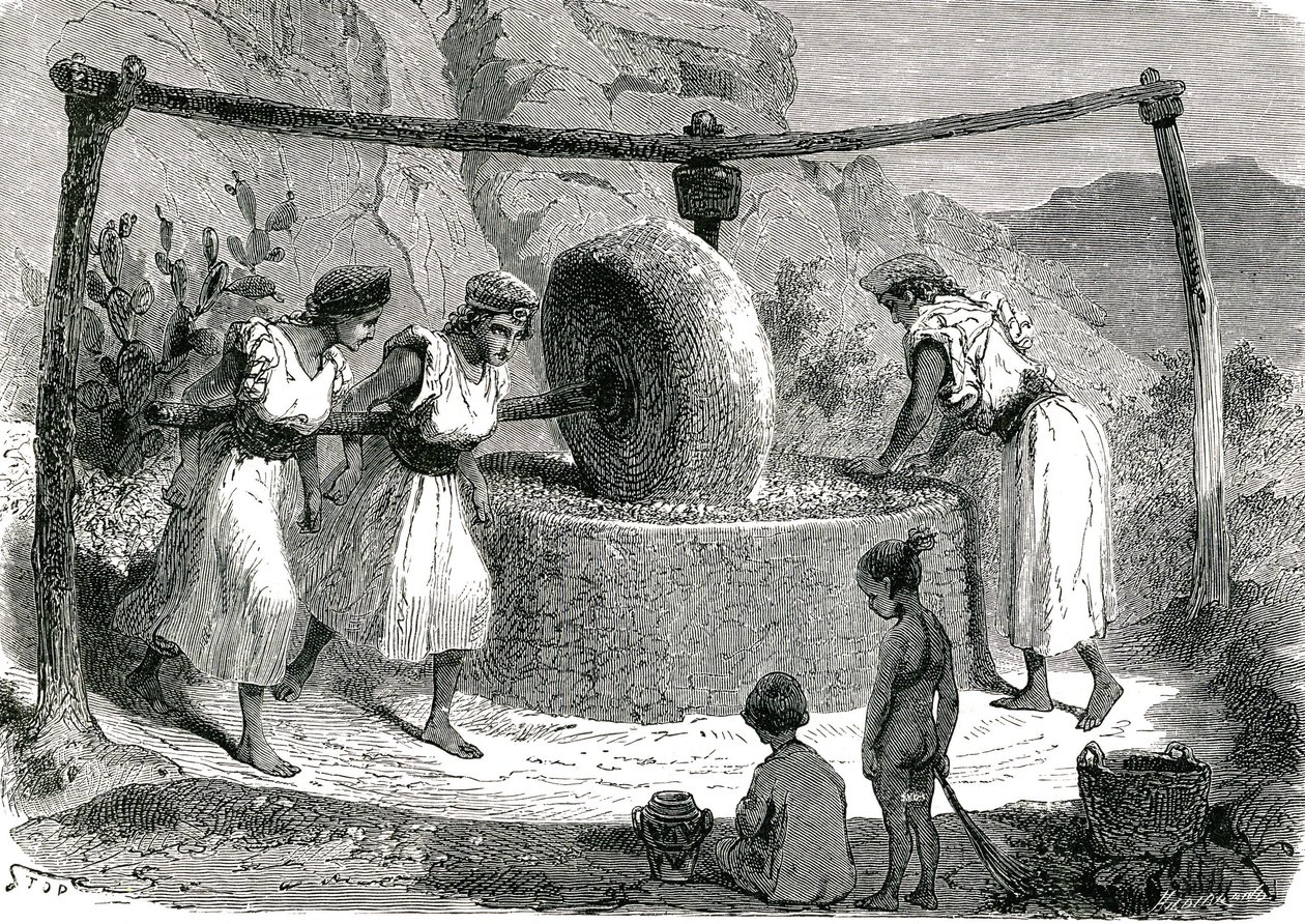  द्वारा अज्ञात कलाकार