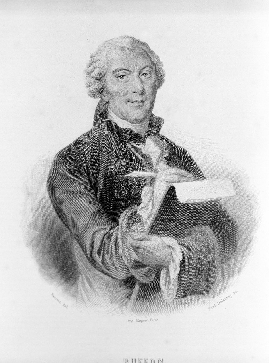 बफ़न का पोर्ट्रेट (1707 - 1788), फ्रांसीसी प्रकृतिवादी और लेखक। द्वारा अज्ञात कलाकार