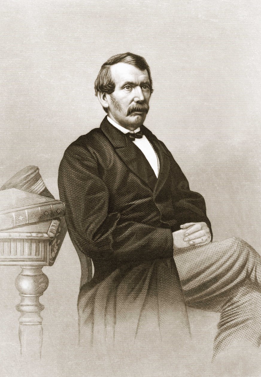डेविड लिविंगस्टोन का पोर्ट्रेट (1813 - 1873)। द्वारा अज्ञात कलाकार