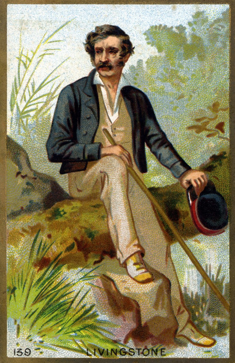 डेविड लिविंगस्टोन का पोर्ट्रेट (1813 - 1873)। 19वीं सदी के उत्तरार्ध की क्रोमोलिथोग्राफी। द्वारा अज्ञात कलाकार