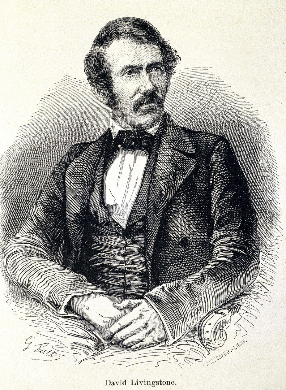 डेविड लिविंगस्टोन का पोर्ट्रेट, स्कॉटिश मिशनरी (1813-1873) द्वारा अज्ञात कलाकार