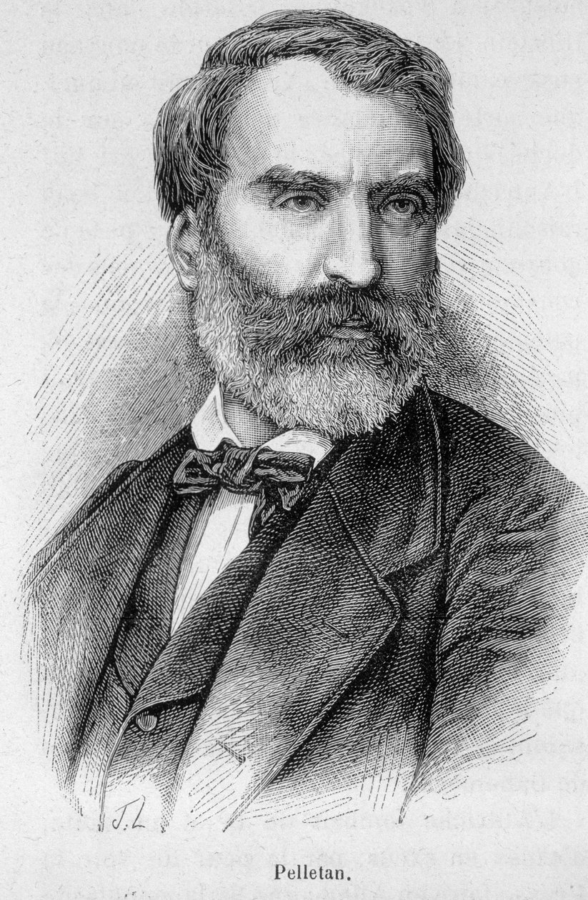 यूजीन पेलेटन का पोर्ट्रेट (1813-1884), फ्रांसीसी पत्रकार, लेखक और राजनीतिज्ञ। द्वारा अज्ञात कलाकार