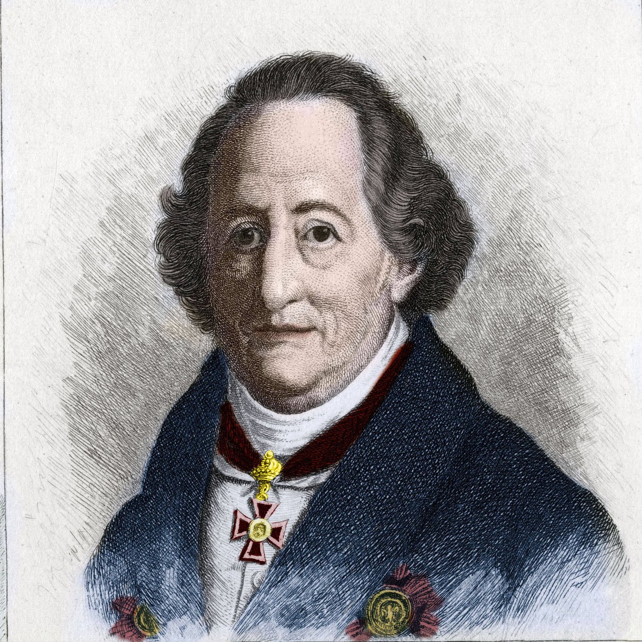 जोहान वोल्फगैंग गोएथे का पोर्ट्रेट (1749 - 1832), जर्मन लेखक द्वारा अज्ञात कलाकार
