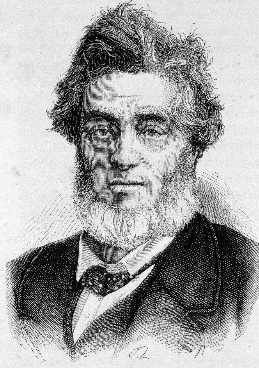 जूल्स फेवर का पोर्ट्रेट (1809 -1880), फ्रांसीसी राजनीतिज्ञ। द्वारा अज्ञात कलाकार