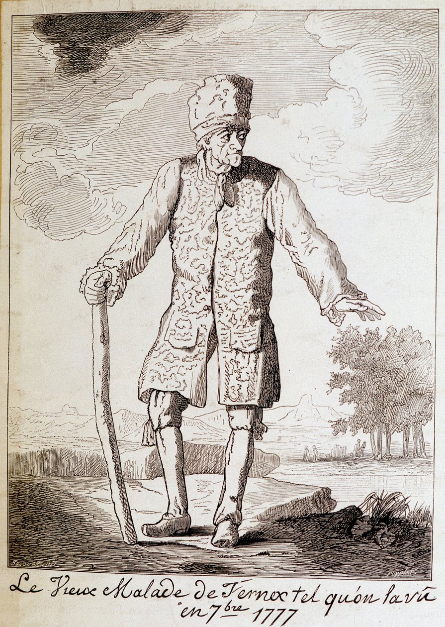 वोल्टेयर का पोर्ट्रेट (1694 - 1778), फ्रांसीसी लेखक और दार्शनिक, बुजुर्ग। द्वारा अज्ञात कलाकार