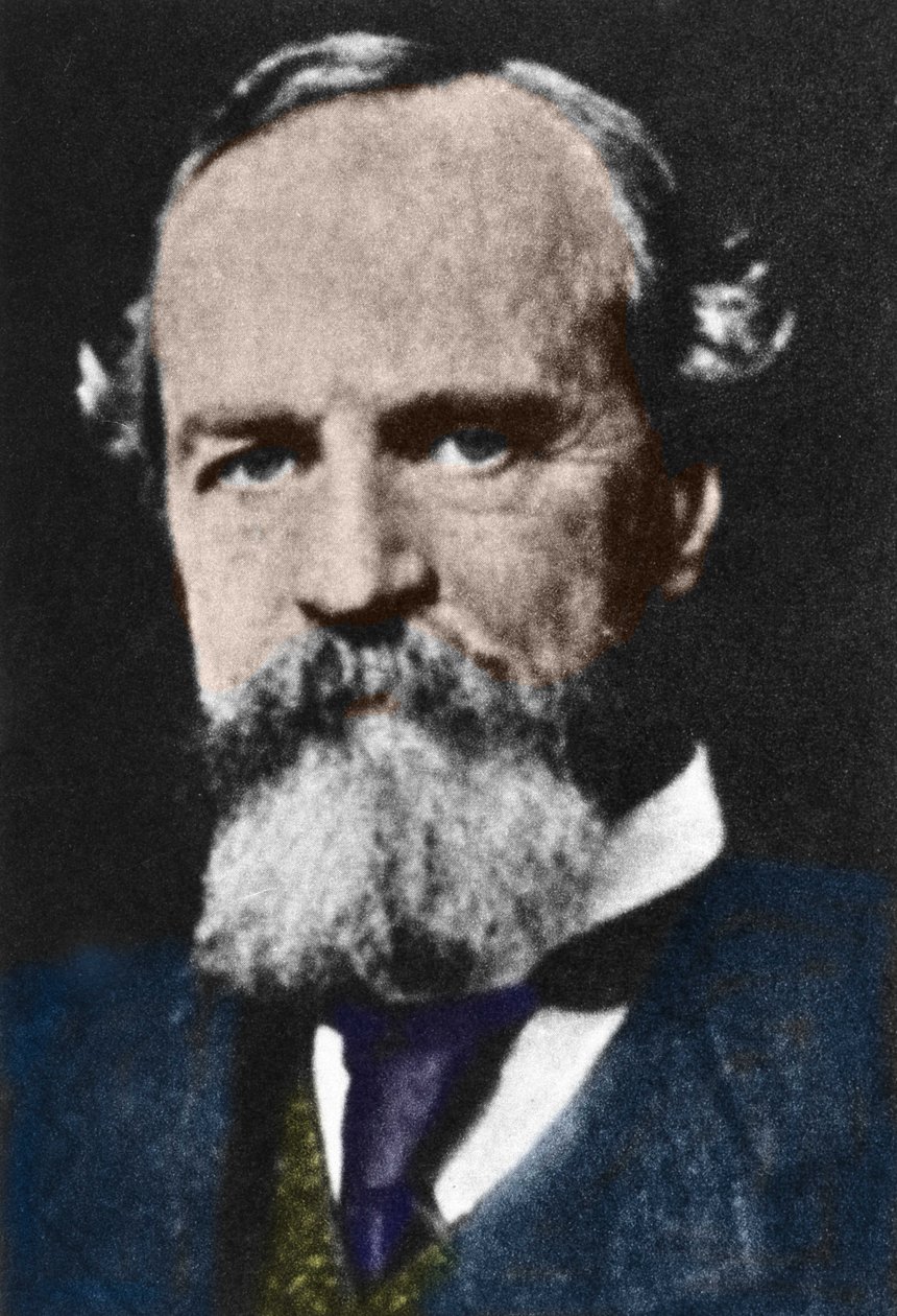 विलियम जेम्स का पोर्ट्रेट (1842-1910), अमेरिकी व्यावहारिक दार्शनिक। द्वारा अज्ञात कलाकार