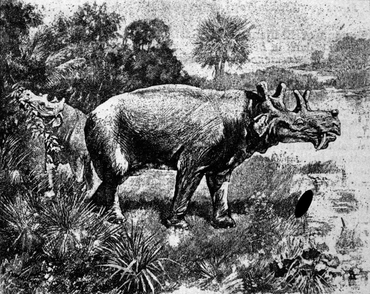 प्रागितिहास: एक चार सींग वाले Uintatherium डायनासोर का प्रतिनिधित्व। द्वारा अज्ञात कलाकार