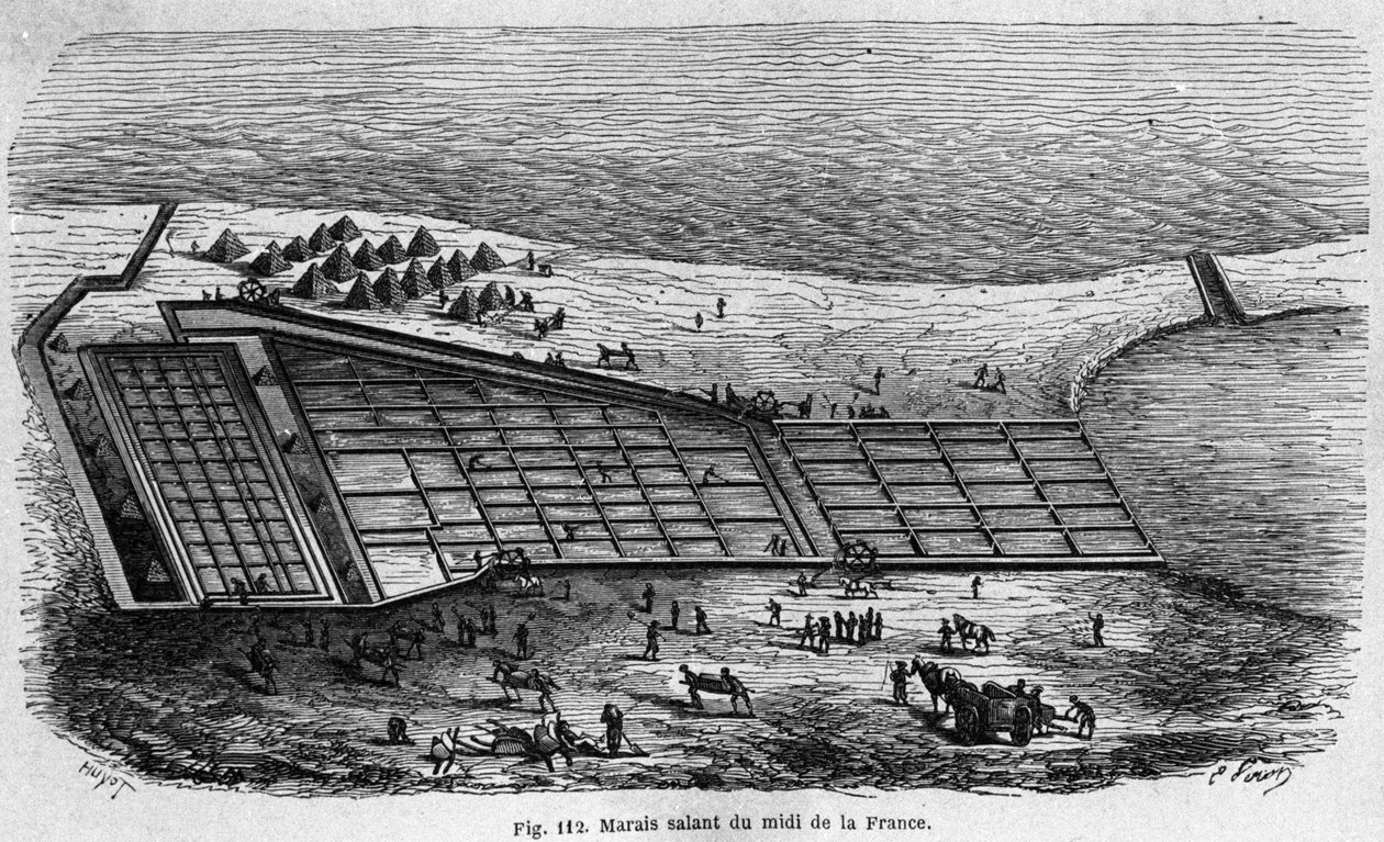 नमक उत्पादन: फ्रांस के दक्षिण में एक नमक दलदल का दृश्य, 1880 का उत्कीर्णन द्वारा अज्ञात कलाकार