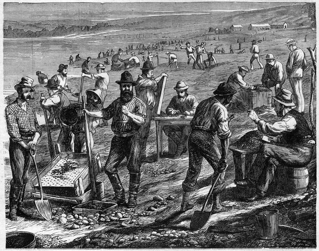 द डायमंड फील्ड्स एट द केप - वाशिंग फॉर डायमंड्स - वाश डायमंड्स इन द साउथ अफ्रीका 19वीं सदी में। द्वारा अज्ञात कलाकार