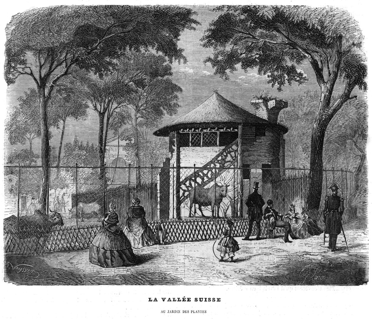 1858 में पेरिस में पौधों के बगीचे में स्विस घाटी। द्वारा अज्ञात कलाकार