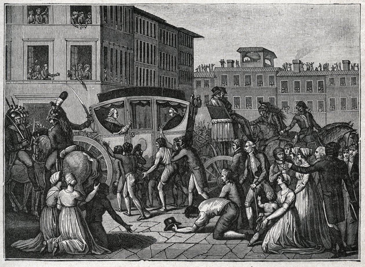 1799 में ग्रेनोबल में पोप पायस VI (Giovanni Angelo Braschi dit Pius VI, PIO 1717-1799) का आगमन। 1800 से उत्कीर्णन। द्वारा अज्ञात कलाकार