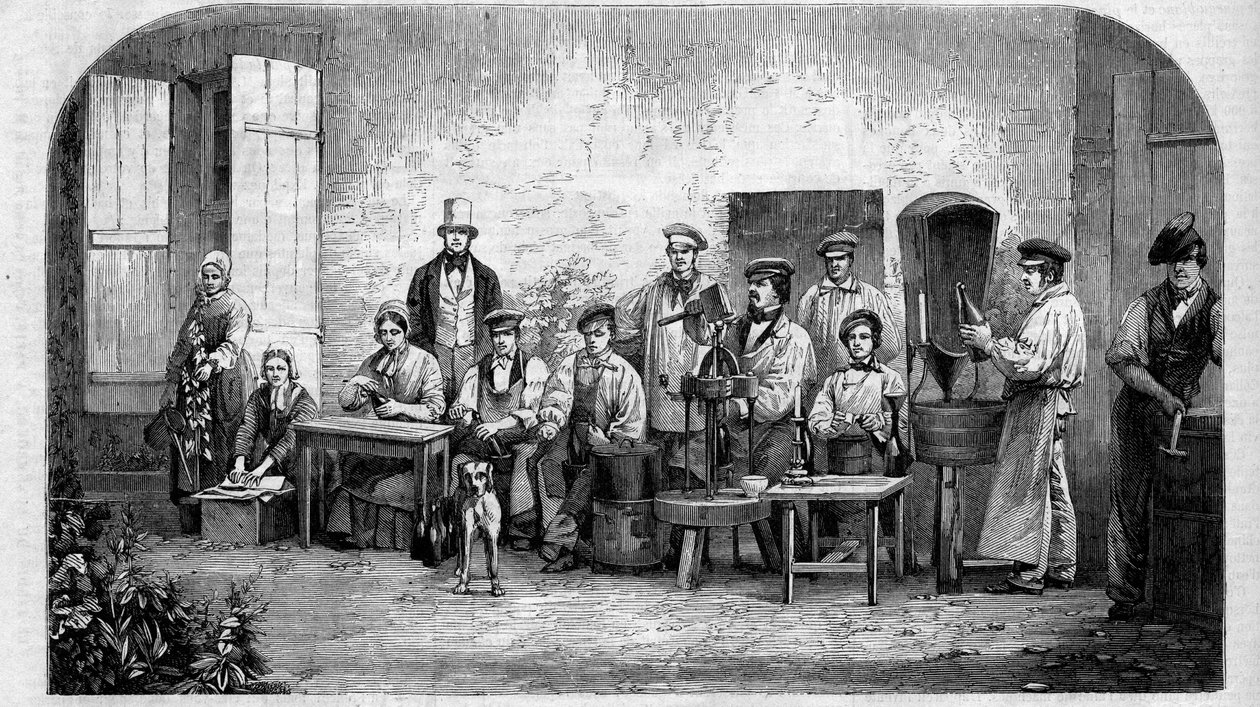 शैम्पेन वाइन की बॉटलिंग। 1864 से उत्कीर्णन। द्वारा अज्ञात कलाकार