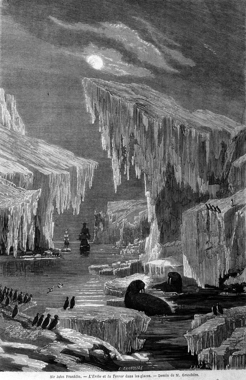 सर जॉन फ्रैंकलिन (1786-1847) के नेतृत्व में अभियान के दौरान जहाज "एरेबस" और "आतंक" बर्फ में। 19वीं सदी की नक्काशी द्वारा अज्ञात कलाकार
