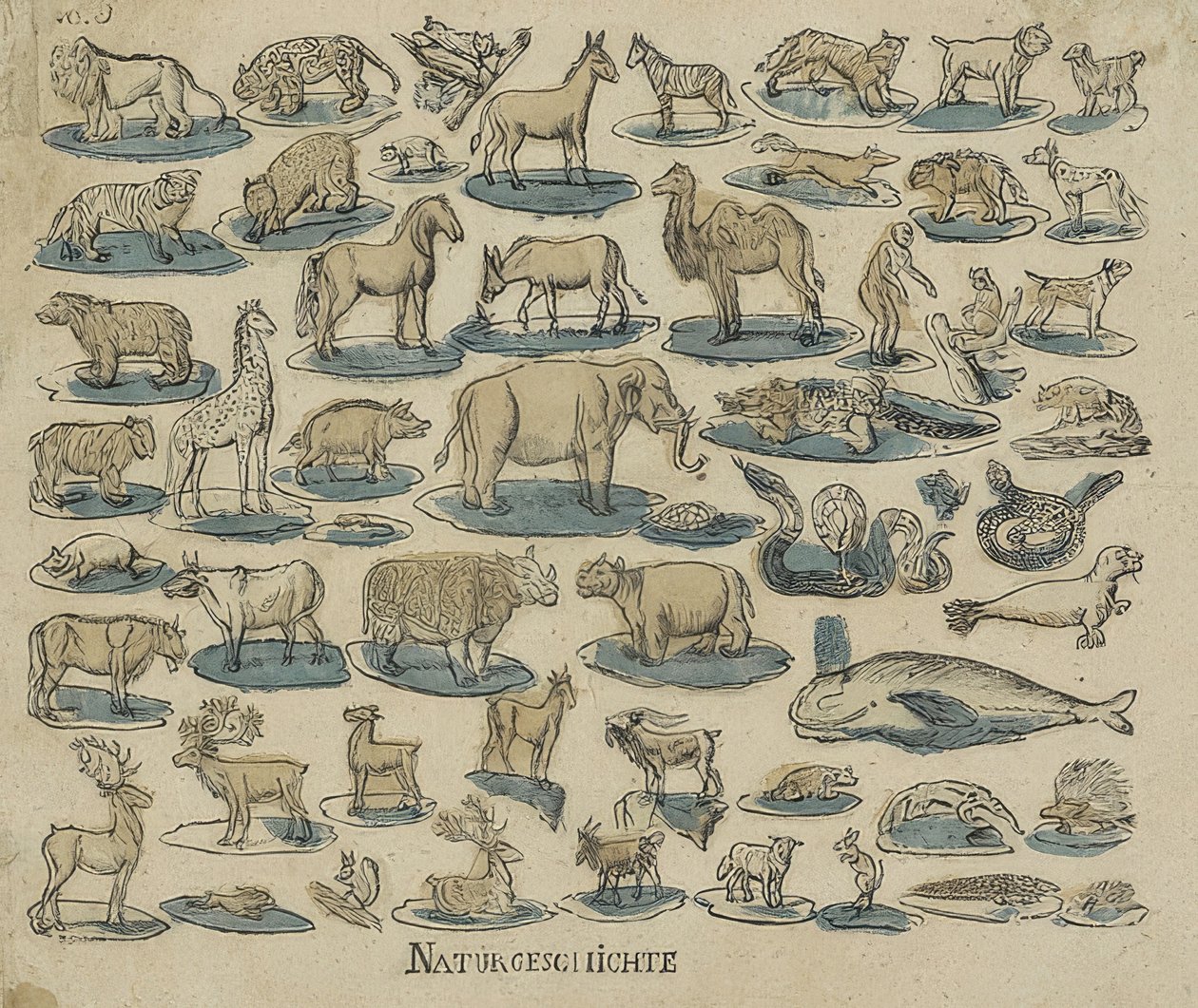 पशु। 1750-1800 द्वारा अज्ञात