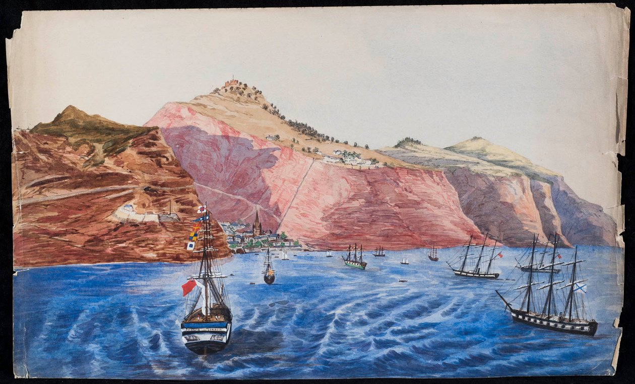 जेम्सटाउन का दृश्य, सेंट हेलेना, c.1850 (कागज पर wc) द्वारा अज्ञात