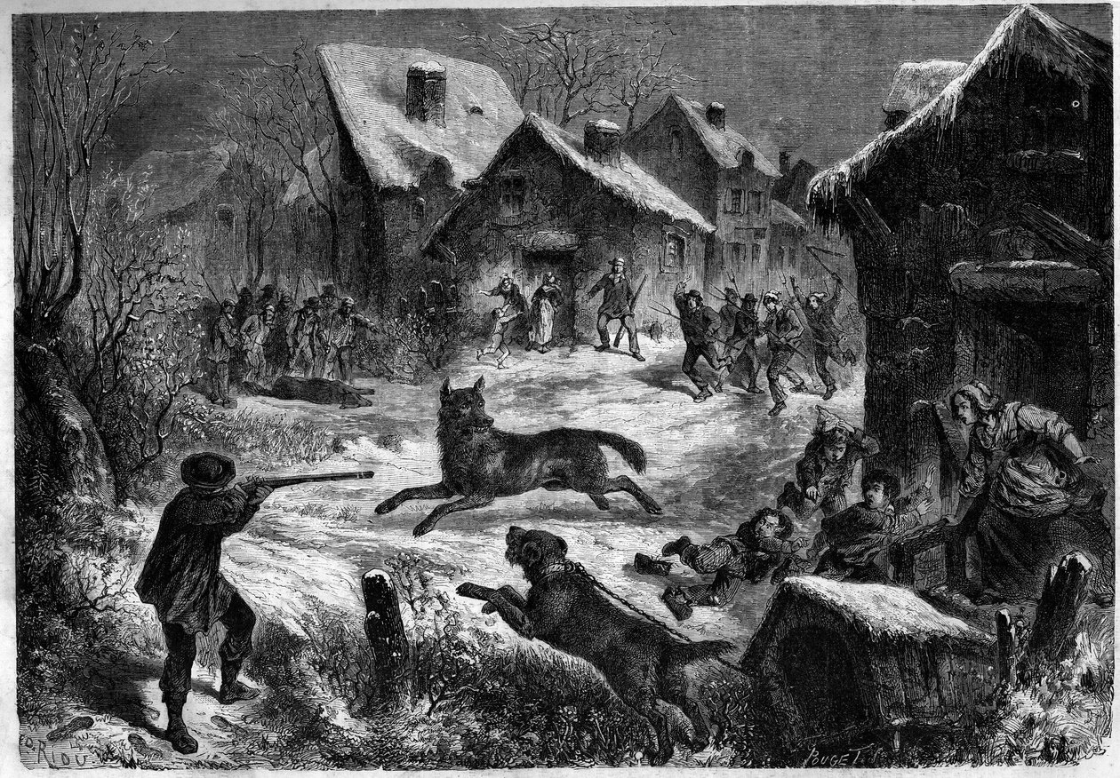 सालियर्स के गांव में भेड़िया शिकार, बुचेस डू रोन (13), 31 दिसंबर 1860। 12 जनवरी 1861 के "" ले मोंडे इलस्ट्रे "" नंबर 196 में उत्कीर्णन। द्वारा अज्ञात कलाकार