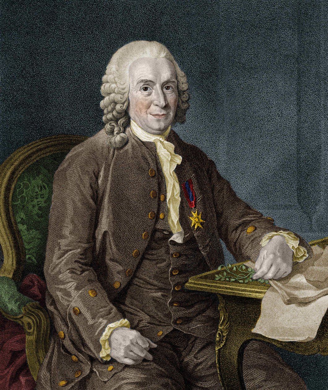 कार्ल वॉन लिने स्वीडिश प्रकृतिवादी और लेखक (1707 - 1778)। द्वारा अज्ञात कलाकार