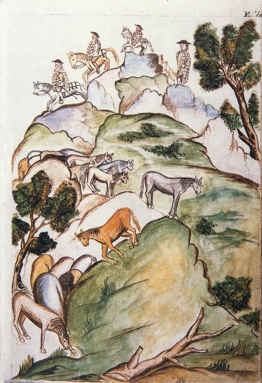 ट्रूजिलो के बिशप (1782-1785) बाल्टाज़र मार्टिनेज कॉम्पैनोन वाई बुजांडा द्वारा "ट्रूजिलो डेल पेरू" या "कोडिस मार्टिनेज कॉम्पैनोन" पुस्तक से, घोड़े के रखवाले उन्हें पकड़ने के लिए पहाड़ों में घेर लेते हैं। द्वारा अज्ञात कलाकार