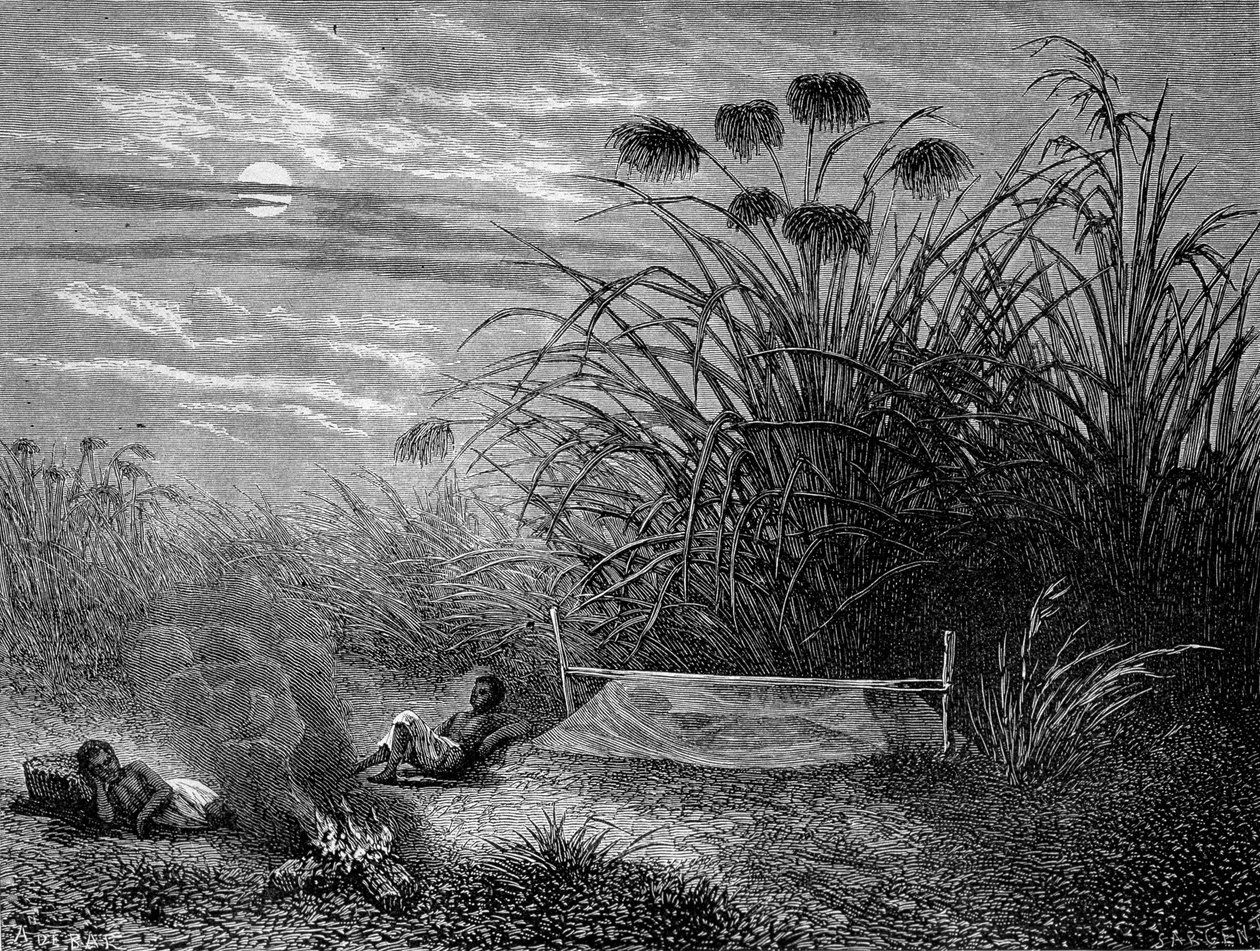 मासौंबो में: लिविंगस्टोन मॉस्किटो नेट - "" लिविंगस्टोन की अंतिम यात्रा 1866-1873"" में "" टूर डू मोंडे "", दूसरा सेम। 1875 द्वारा अज्ञात कलाकार