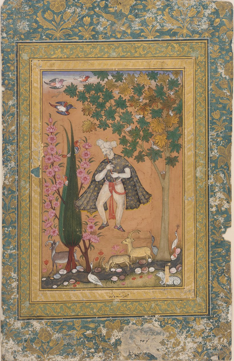 राजा डेविड आकर्षक पक्षी और जानवर द्वारा अज्ञात कलाकार