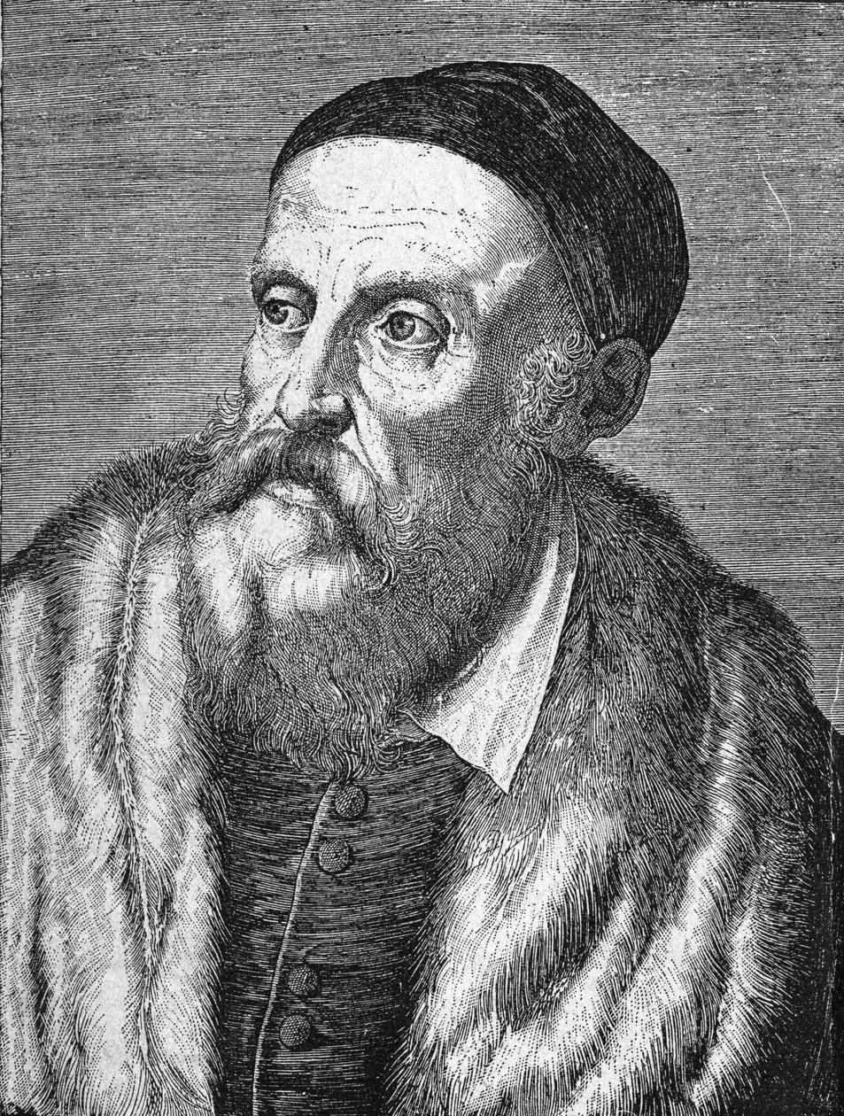 टिज़ियानो वेसेलियो (द टिटियन) का पोर्ट्रेट (1490 - 1576) द्वारा अज्ञात कलाकार
