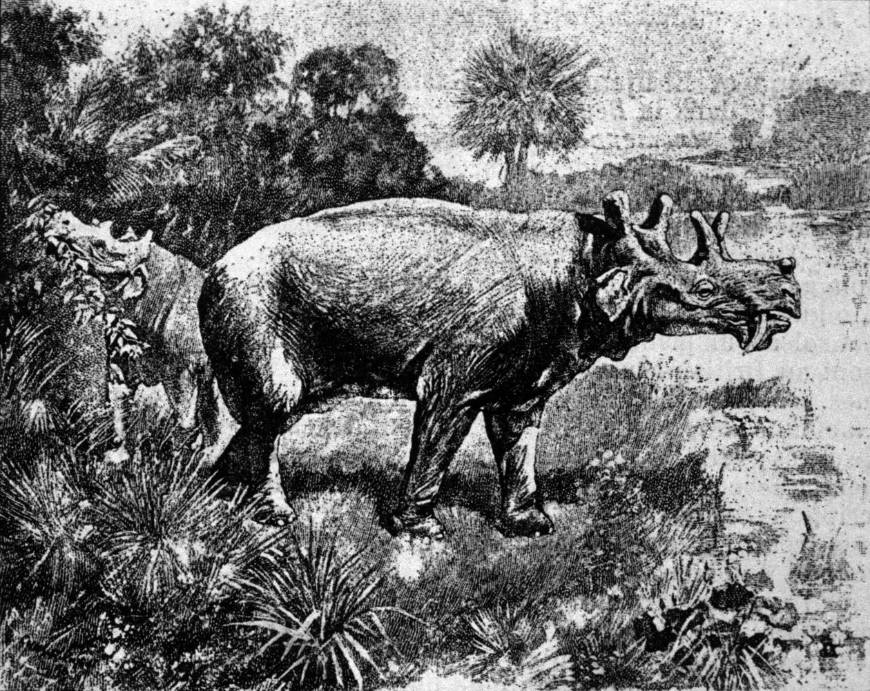 प्रागितिहास: एक चार सींग वाले Uintatherium डायनासोर का प्रतिनिधित्व। द्वारा अज्ञात कलाकार
