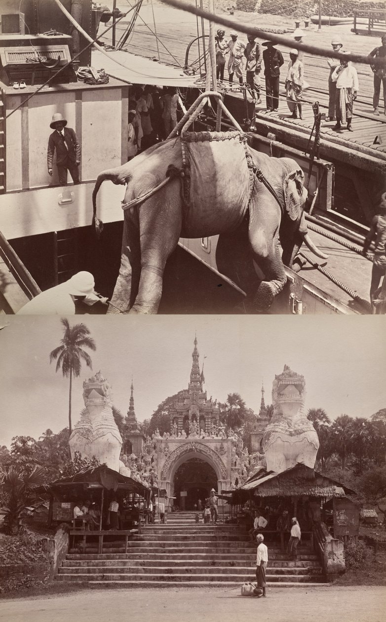  द्वारा अज्ञात कलाकार