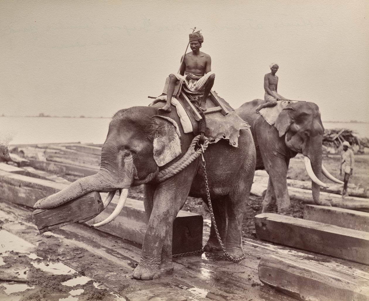  द्वारा अज्ञात कलाकार