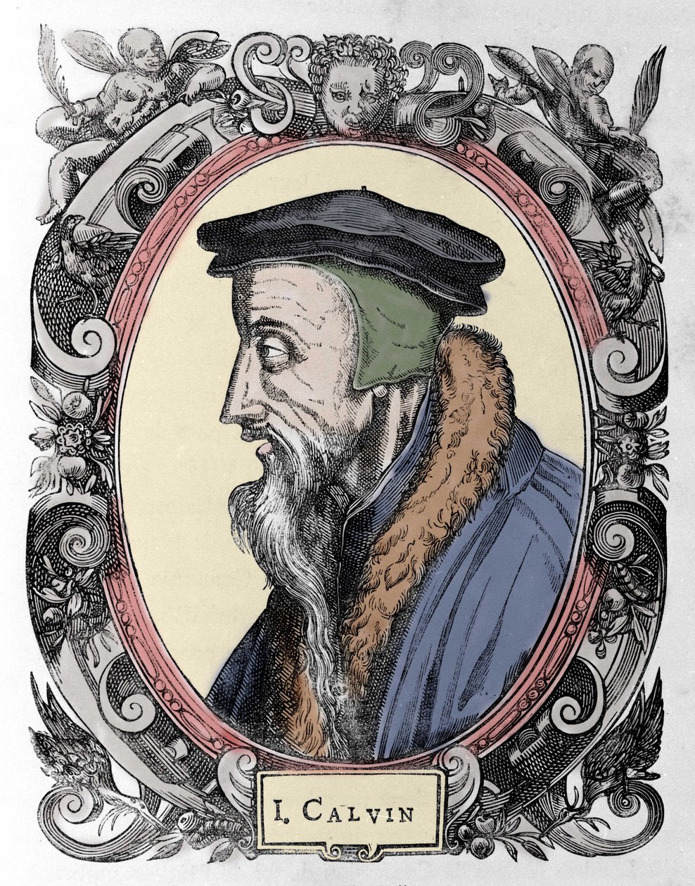 जीन केल्विन (1509-1564), फ्रांसीसी धार्मिक सुधारक और लेखक का चित्र। द्वारा अज्ञात कलाकार
