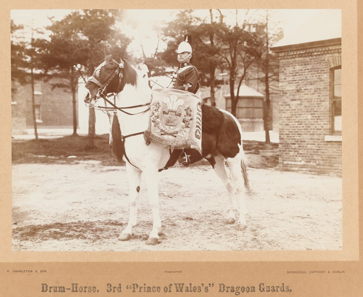 ड्रम-घोड़ा, वेल्स के तीसरे राजकुमार ड्रैगून गार्ड , 1895 के लगभग द्वारा अज्ञात फोटोग्राफर