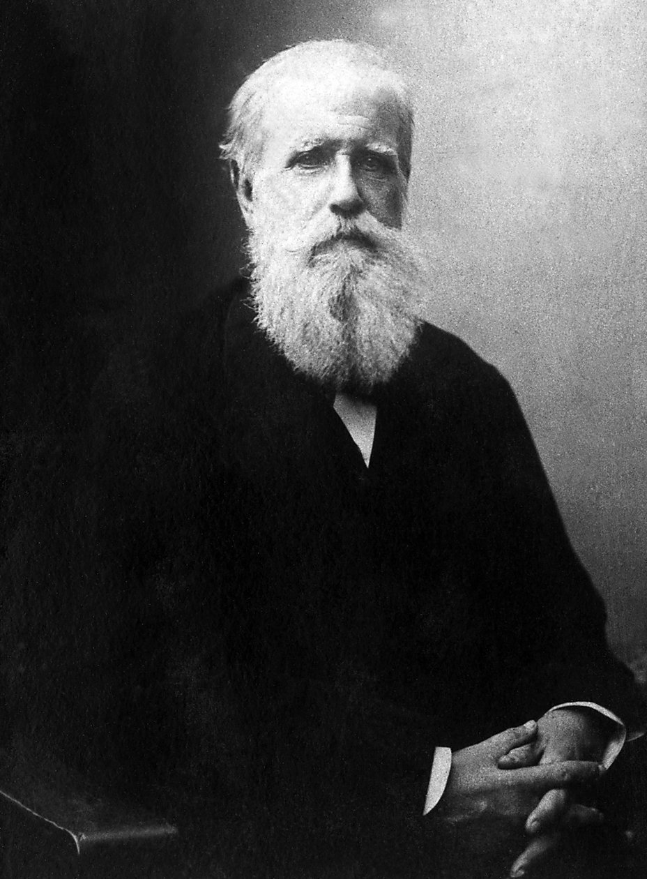 डोम पेड्रो डी अलकांतारा (पीटर II) (1825-1891), ब्राजील के सम्राट का पोर्ट्रेट। द्वारा अज्ञात फोटोग्राफर
